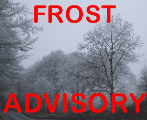 Frost Advisory