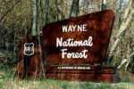 Wayne National Forest Sign