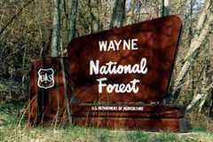 Wayne National Forest Sign