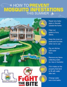 backyard-mosquito-prevention-tips