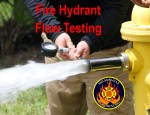 Nelso Hydrant Flow Testing