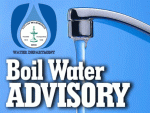 Nelso Boil Advisory